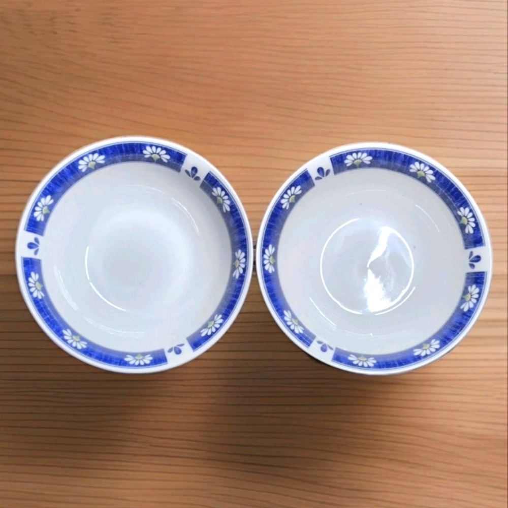RARE Find – Oneida Spring Daisy Soup / Cereal Bowls  Set of 2 – 7”  Discontinued